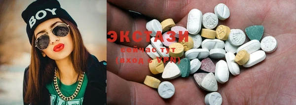 индика Чегем