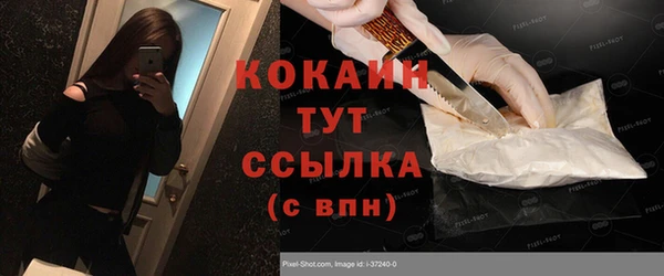 индика Чегем