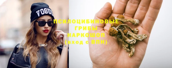 индика Чегем