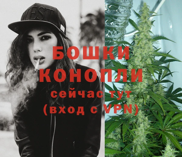 индика Чегем