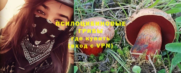 индика Чегем