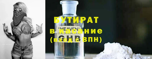 индика Чегем