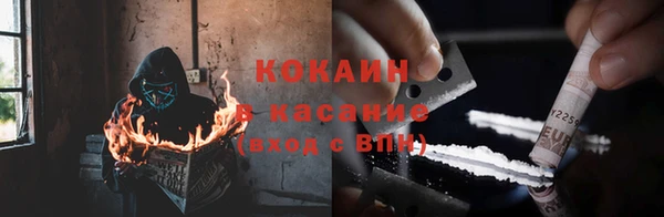 индика Чегем