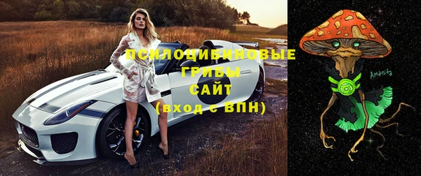 индика Чегем