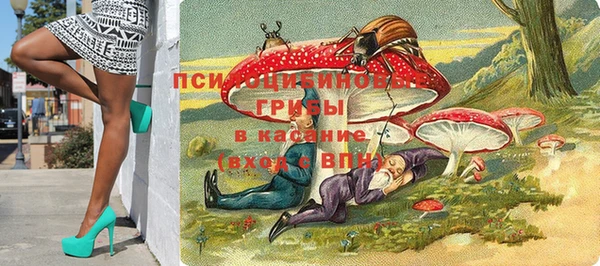 индика Чегем