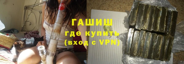 индика Чегем